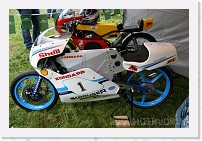 IMG_5058 * 3504 x 2336 * (4.15MB)
