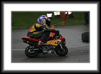 amc_dm_2008-0241 * 3504 x 2336 * (2.39MB)