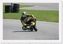 IMG_2714 * 3504 x 2336 * (2.46MB)