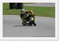IMG_2721 * 3504 x 2336 * (2.47MB)