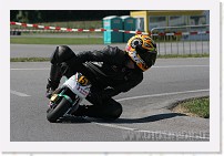 IMG_2951 * 3504 x 2336 * (3.2MB)