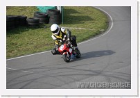 nuss_17_2_07__042 * 3504 x 2336 * (3.56MB)