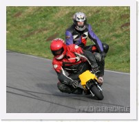 nussloch_01_2007_28 * 2211 x 1919 * (3.35MB)