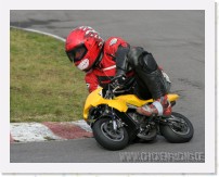 nussloch_01_2007_35 * 2505 x 1978 * (3.94MB)