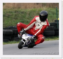 nussloch_01_2007_54 * 2142 x 1993 * (3.54MB)