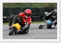 nussloch_01_2007_55 * 3009 x 2056 * (4.85MB)