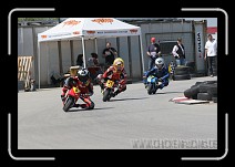 IMG_1547 * 3504 x 2336 * (3.1MB)