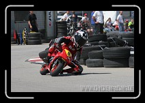 IMG_1552 * 3504 x 2336 * (2.8MB)
