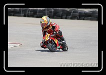 IMG_1565 * 3504 x 2336 * (2.66MB)