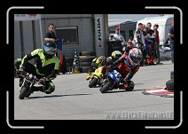 IMG_1647 * 3504 x 2336 * (3.06MB)