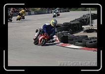 IMG_1724 * 3504 x 2336 * (3.12MB)