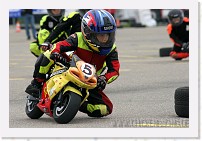 IMG_6502 * 3504 x 2336 * (6.17MB)