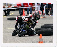 IMG_6543 * 2724 x 2223 * (5.15MB)